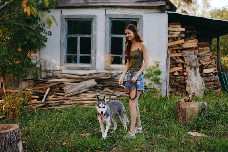 Женщина и её собака хаски весело играют на улице в парке среди деревьев, улыбаются, обнажая зубы, во время осенней прогулки со своим питомцем