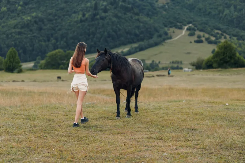 A young woman in a light summer outfit gently approaches a black horse in a wide countryside meadow. The tranquil scene conveys harmony between person and animal.