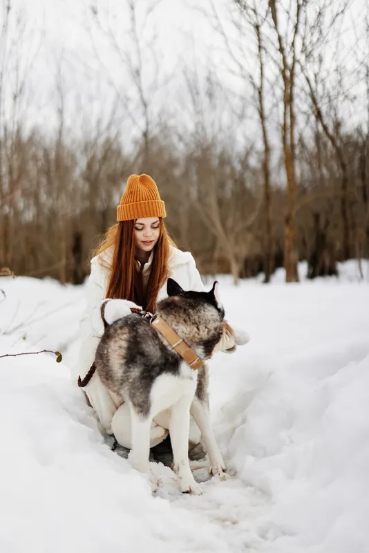 Женщина играет в снегу с собакой, веселье, дружба, зимние каникулы
