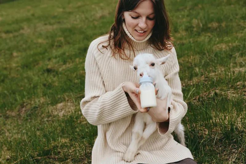A woman in a cozy beige sweater sits in a meadow, bottle feeding a white kid goat, capturing a tender countryside moment with warm wholesome lifestyle vibes and gentle sunlight
