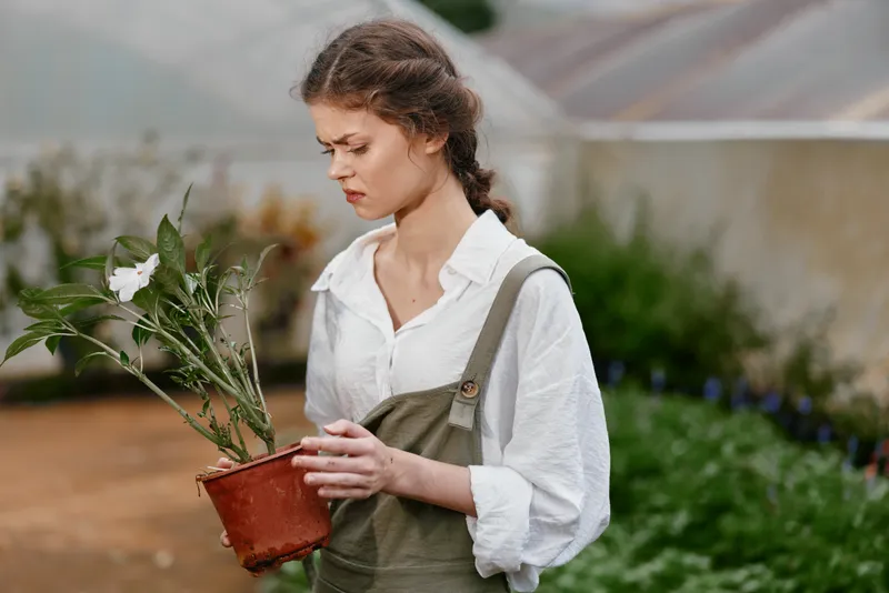 Young female gardener looking concerned while holding a potted plant in a green house environment, showcasing emotions of worry, nature, and care for plants