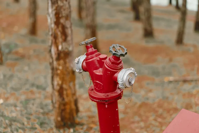 Red fire hydrant in a forest setting, surrounded by trees and dry leaves, evoking a sense of nature and safety in urban environments