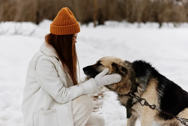 Женщина в зимней одежде гуляет с собакой по снегу во время зимних каникул