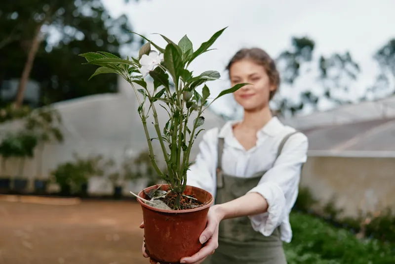 Young woman in casual attire joyfully holding a potted plant in a garden setting, showcasing a passion for gardening and nature, perfect for eco friendly themes