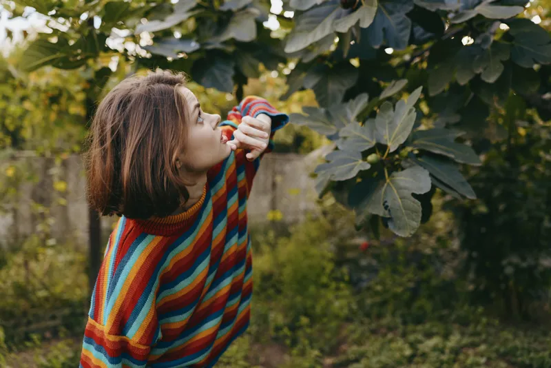Girl in colorful striped sweater reaching through tree leaves, looking up with curiosity in a leafy outdoor garden with figs. Portrait, nature scene, autumn mood and cozy casual style.