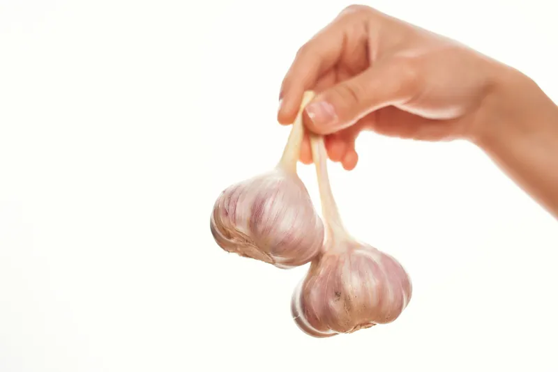Чеснок в руках, органические продукты, витамины, кулинария