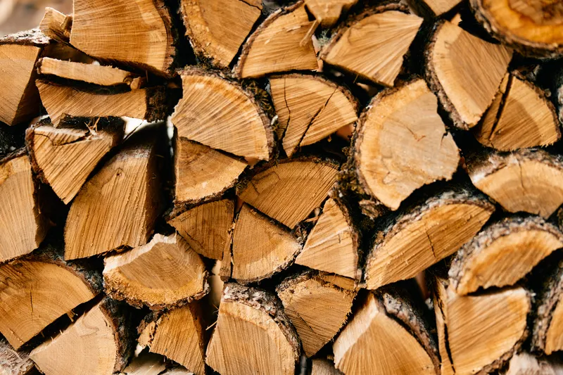 Крупный план деревенской поленницы дров с крупно выведенным словом «wood»