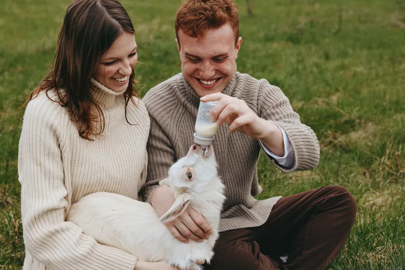 Joyful couple in cozy sweaters bottle feed a white goat kid on a grassy field, capturing a warm lifestyle moment of care and playful bonding. Soft lighting adds warmth.