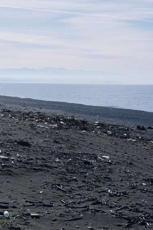 Beach with dark sand strewn with trash along a quiet shore, calm ocean under a pale sky, distant horizon and mountains, illustrating pollution and environmental concern in a stark coastal landscape.