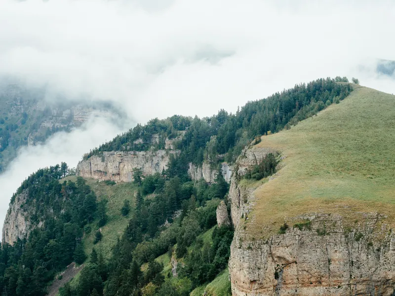 Горы, природа, свежий воздух, пар, туман, деревья и красивый пейзаж
