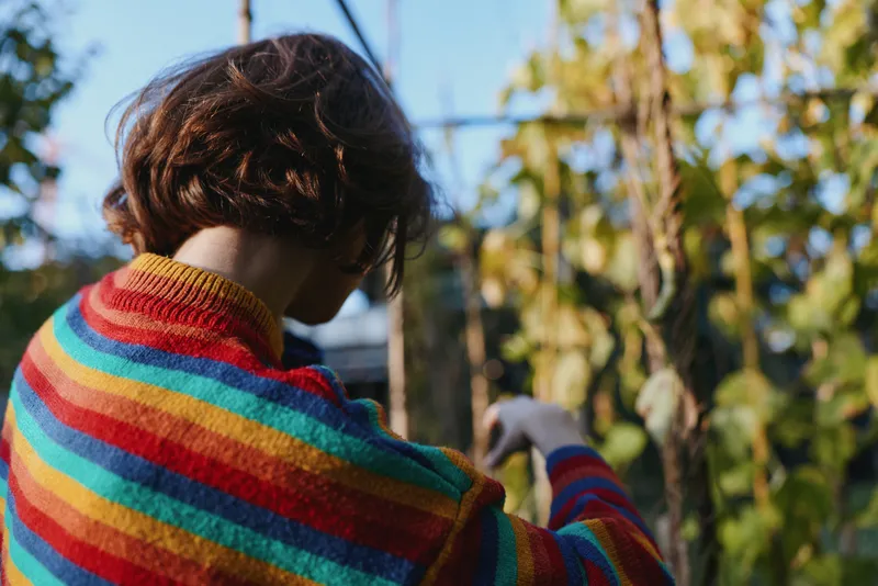 Young woman in a colorful striped sweater gardening and harvesting in an outdoor backyard garden, short hair and casual outfit, leaning and inspecting plants in warm golden afternoon light.