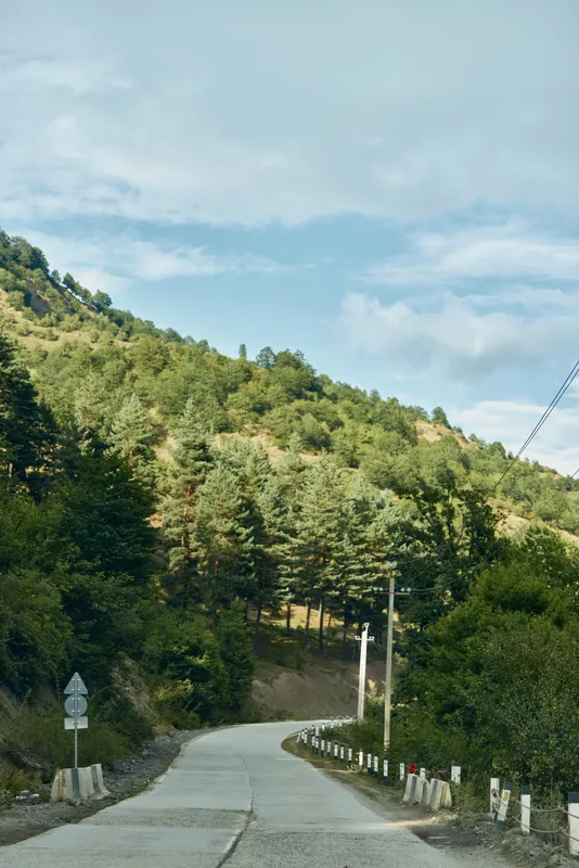Road forest mountain nature trees rural winding sky, country road curves through green hills and pine forest under cloudy sky authenticity inclusivity peaceful travel