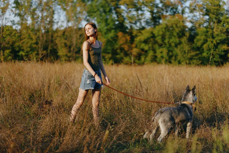 Женщина и её хаски радостно гуляют и бегают по траве в поле, улыбаясь, на фоне осеннего заката