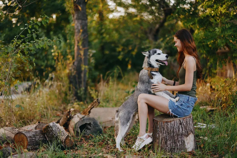 Женщина и её хаски весело играют на улице в парке среди деревьев