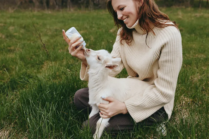 Lifestyle scene of a woman feeding a goat kid with a bottle in a grassy field, showing gentle care, rural charm, and a warm, relaxed mood.