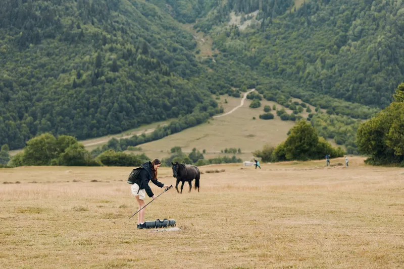 A person interacts with a horse in an open rural field with rolling hills and forested mountains in the background, capturing a tranquil outdoor moment.