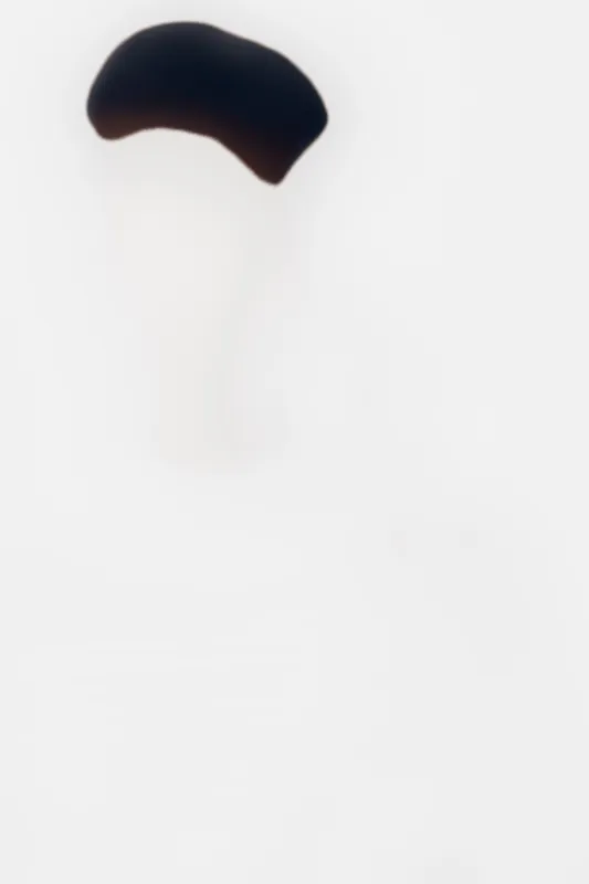 man wearing beret isolated on white background, minimalistic portrait with focus on headwear and face silhouette, artistic and clean composition