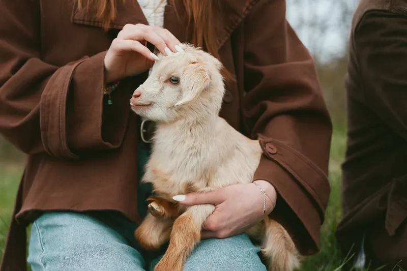 Young woman gently holds and pets a small baby goat while sitting outdoors in casual clothes during a calm autumn day.
