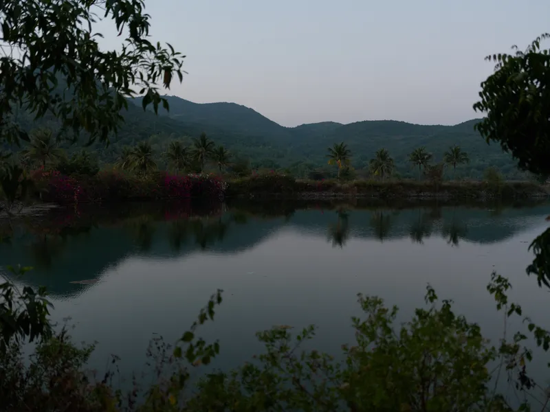 Calm lake surrounded by lush green trees and distant hills under a clear sky, reflecting peaceful nature scenery in the early evening light.