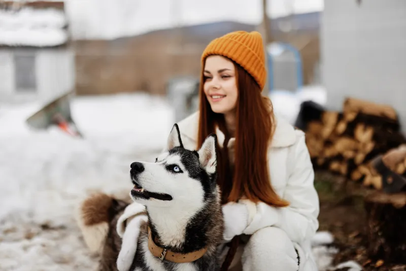 Красивая собака на поводке, зимний пейзаж, прогулка, дружба, зимние каникулы