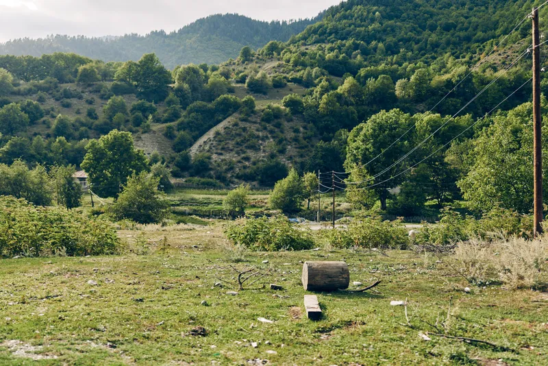 Сельская панорама с деревьями, открытым полем и холмами, с разбросанным мусором и тихой, спокойной обстановкой на природе
