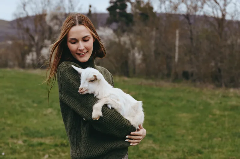 Goat kid is gently held by a woman in a dark green sweater in a sunlit meadow, showcasing lifestyle, countryside, nature, and outdoor bonding. Warm light creates a peaceful mood of care, affection,