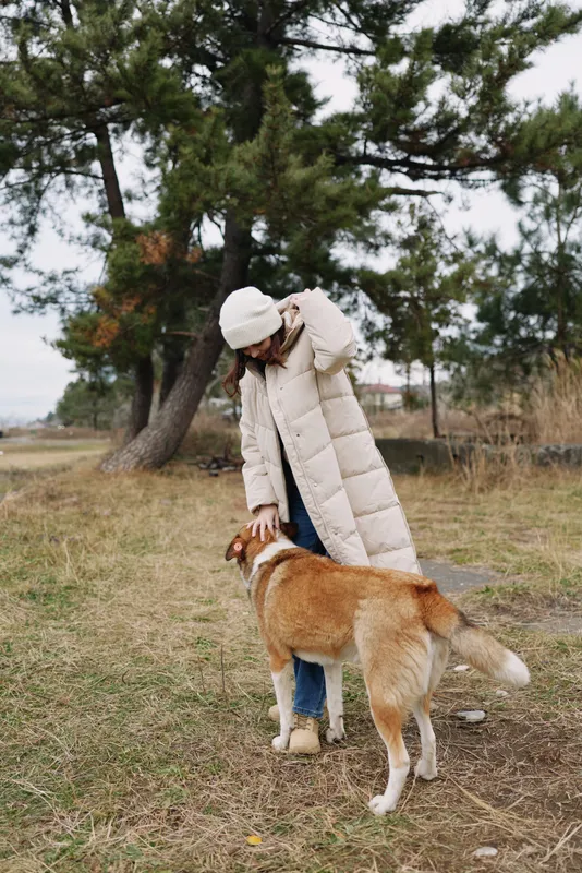 Person in a warm coat interacts with a dog in a park, enjoying a calm outdoor moment as trees and grass frame a peaceful countryside scene during a chilly day