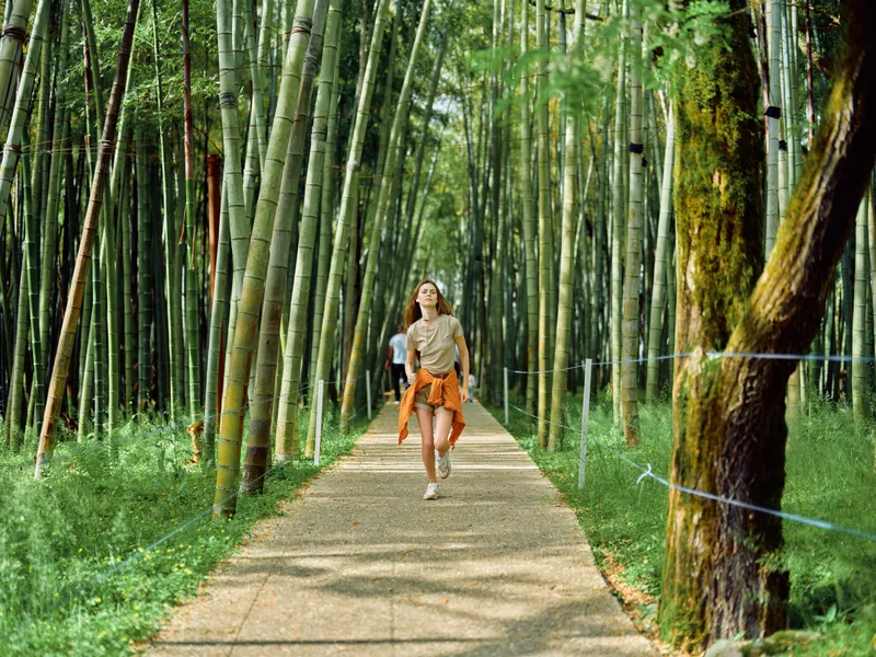 Woman walking on a path through a dense bamboo forest, enjoying nature and travel as a tourist, casual outfit with shorts and sneakers among tall green trees and peaceful greenery.
