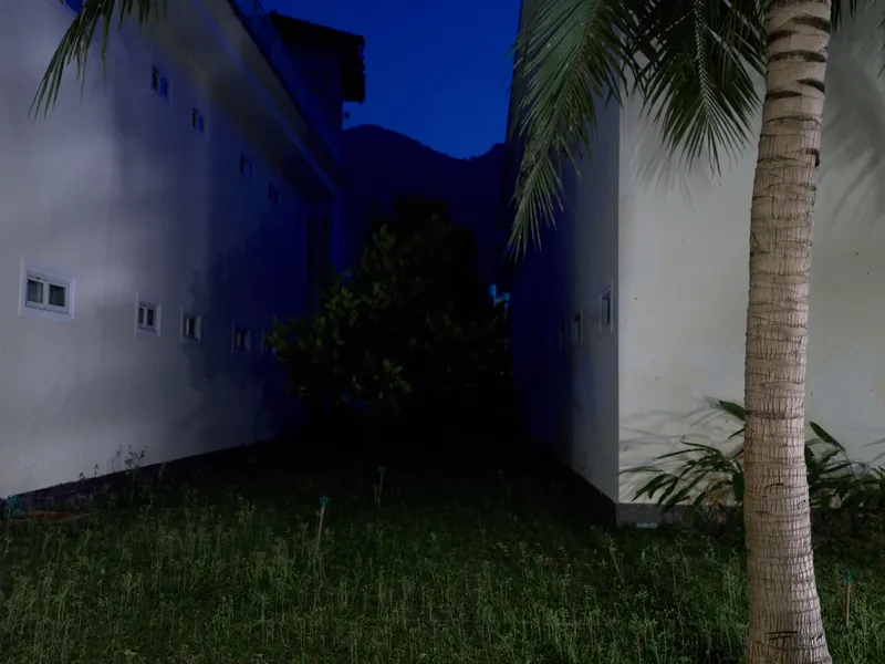 Nighttime scene between two buildings with a palm tree and grass under a deep blue sky, showing calm and quiet atmosphere in a tropical environment.