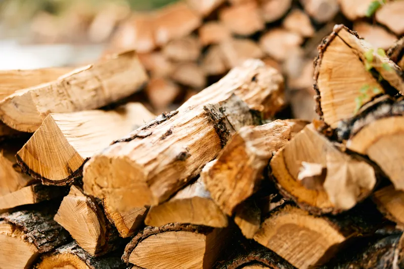 Штабель дров с надписью «wood» на фоне пышного лесного массива, символизирующий природные ресурсы и устойчивое развитие