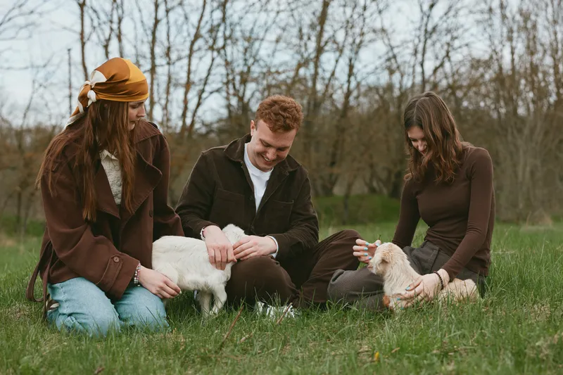 Joyful group outdoors, three people interact with friendly goats in a sunlit meadow, warm tones, relaxed posture, candid moment, natural colors, rural lifestyle scene