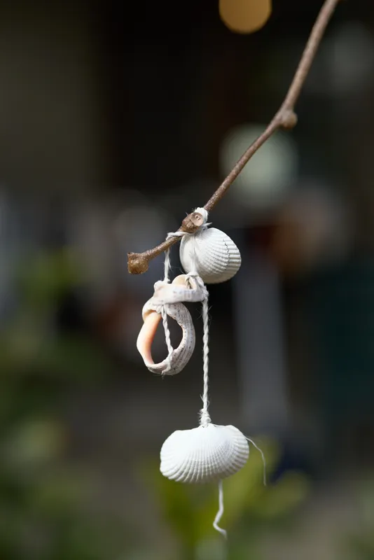 Closeup of white seashells hanging from a twig by rope, creating a rustic coastal ornament against a blurred outdoor background, with delicate shells swaying in natural light.