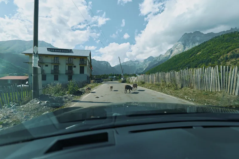 A view from inside a car captures a rural road winding through a cloudy valley with a weathered building, wooden fence, and dogs resting on the quiet street.