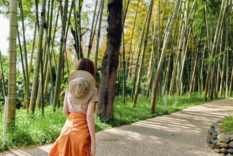 Woman back with hat walking along a bamboo path in a green forest, orange dress flowing, summer outdoors travel scene showing peaceful stroll, sunlight and serene nature trail.