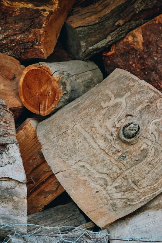 Firewood, logs, woodpile, timber, bark, knot: close-up of stacked firewood with sawn ends and visible growth rings, rustic homestead scene, brown tones and natural wood grain for heating and decor.