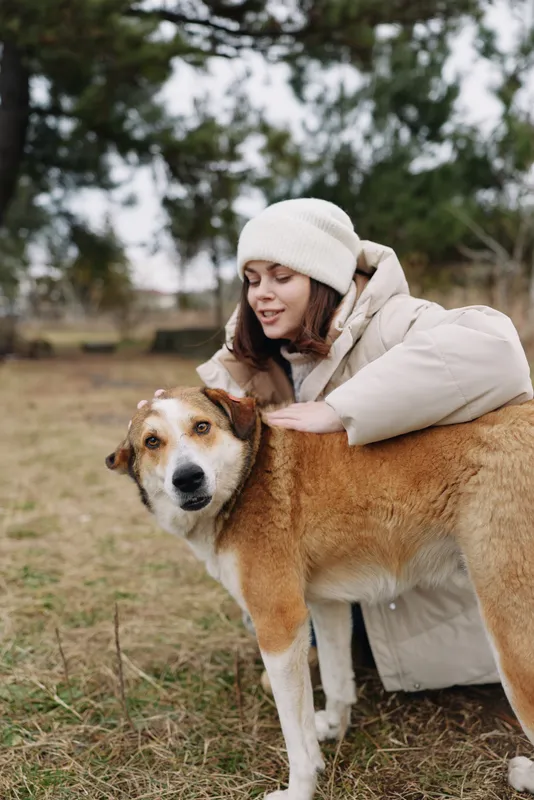 Woman in a warm coat and beanie crouches beside a brown and white dog in an open field, sharing a gentle hug under soft, overcast skies.