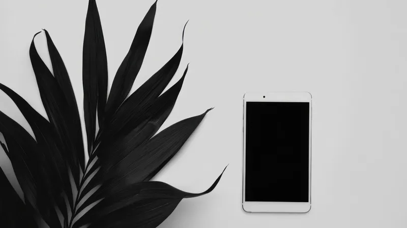 Минималистичная черно-белая композиция со смартфоном и тропическим листом на нейтральном фоне