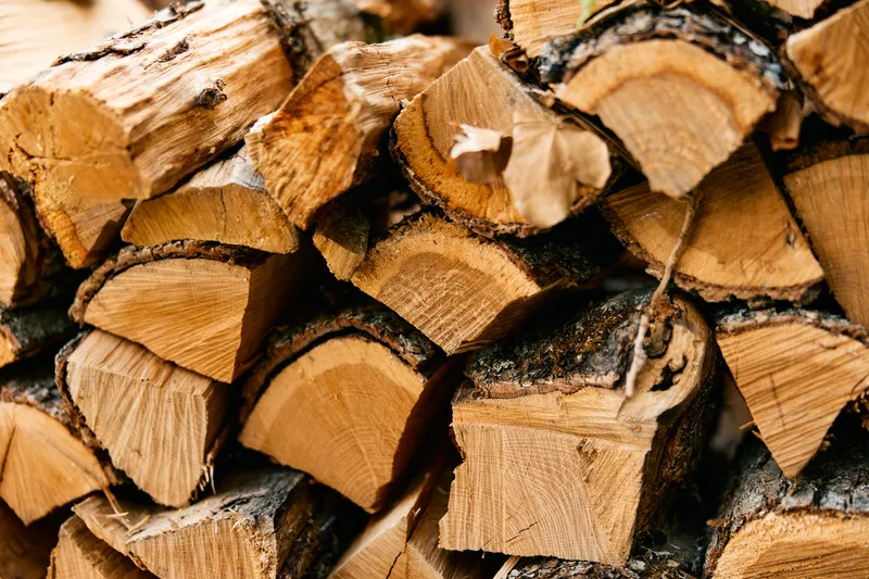 Крупным планом снята поленница, на заднем плане видно слово «wood»