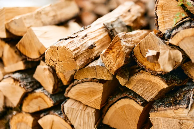 Поленница дров с надписью «firewood» на переднем плане на фоне стены из дров