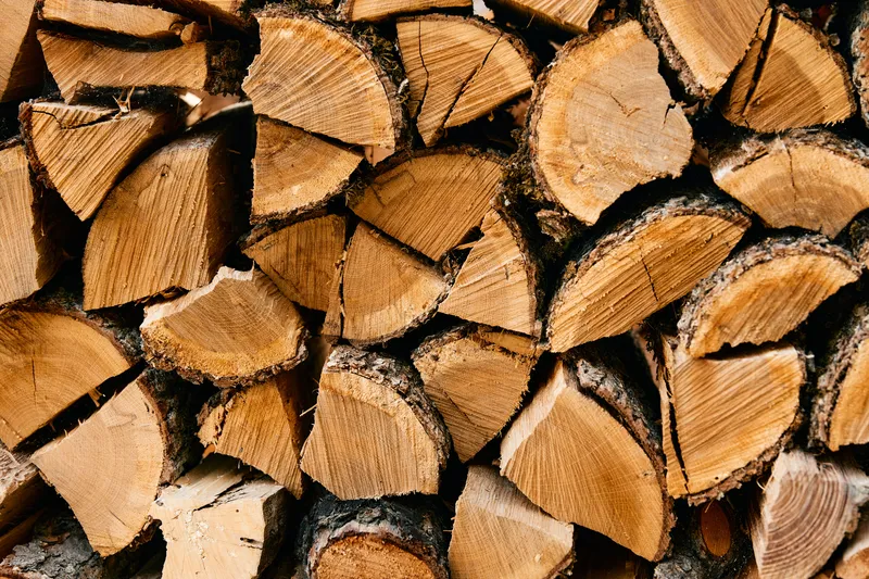 Крупный план деревенской поленницы, на поверхности которой вырезано слово «wood»