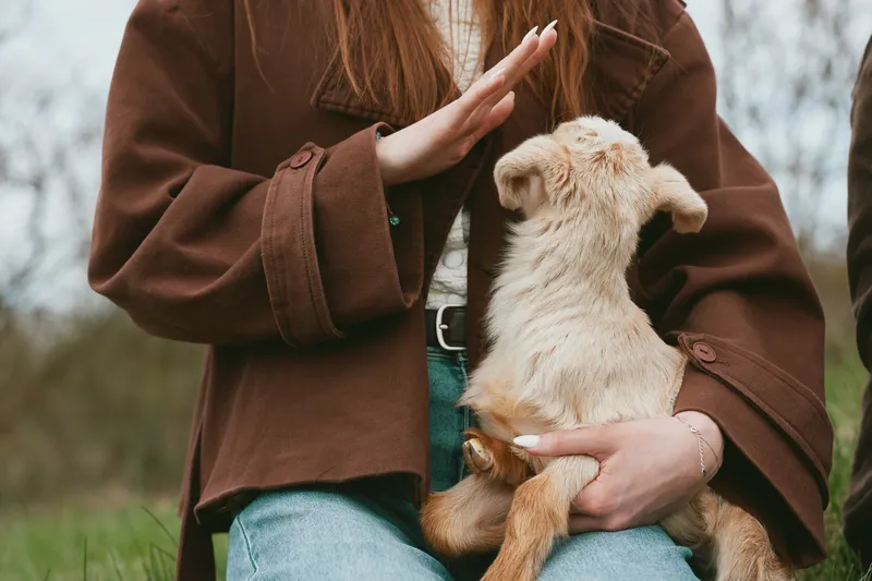 Joyful outdoors scene with a person gently cradling a goat kid, warm jacket, relaxed smile, soft breeze, natural tones, rural meadow backdrop, sincere animal interaction, peaceful mood