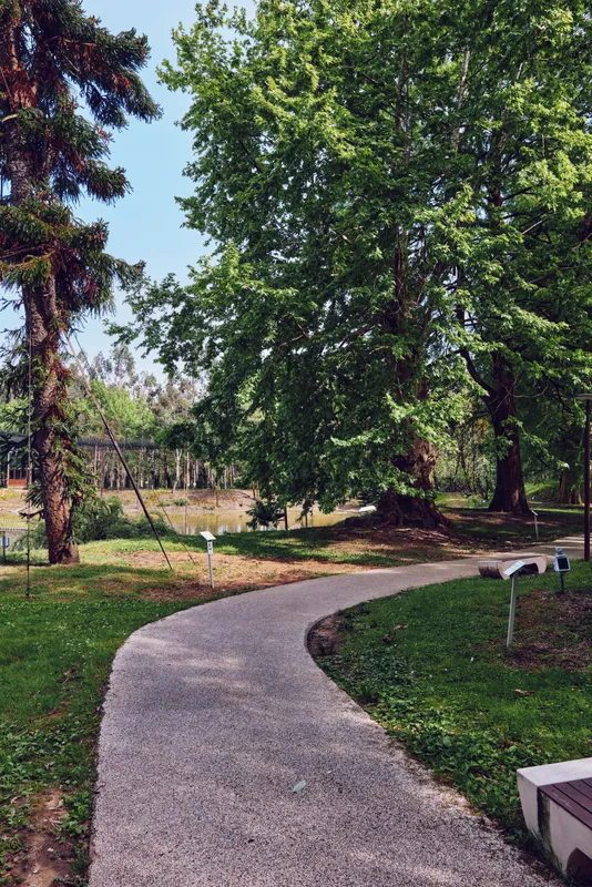 Path, trees, park, grass, nature, walkway. Curved gravel path winds through a sunlit park with large leafy trees, green lawn and shaded seating creating peaceful outdoor retreat.