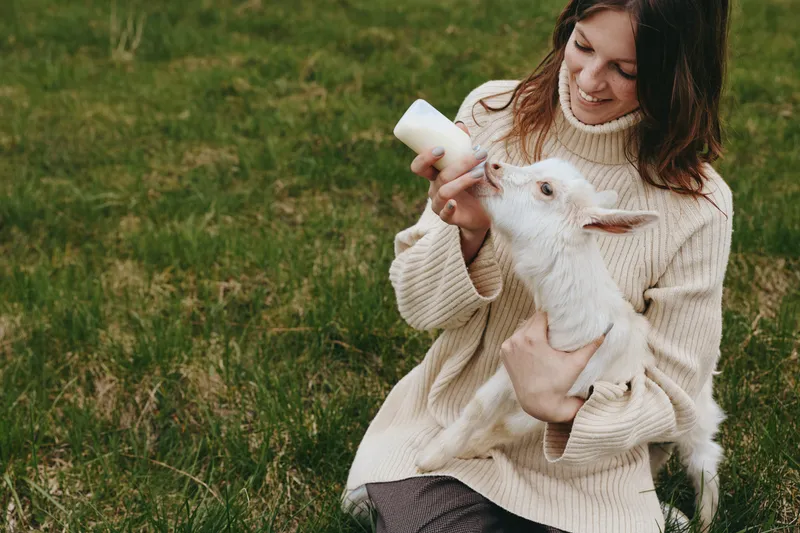 Young woman in a cozy sweater feeds a baby goat with a bottle while sitting on the grass in a natural outdoor setting, enjoying a peaceful lifestyle moment.