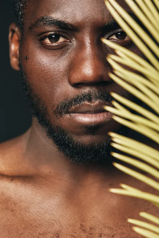 African man portrait with dark skin and beard in creative conceptual visual style closeup with palm leaf on face for artistic expression and cultural identity in studio lighting.