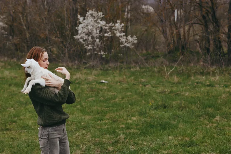 A woman in casual clothing holds a young goat kid in an open grassy field, capturing a tender moment of companionship outdoors. A lifestyle scene highlighting animal care, gentle bonding, and rural