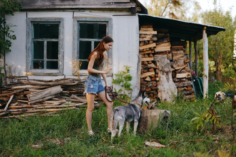 Женщина и её хаски весело играют на свежем воздухе в парке среди деревьев, улыбаются, показывая зубы, во время осенней прогулки со своим питомцем