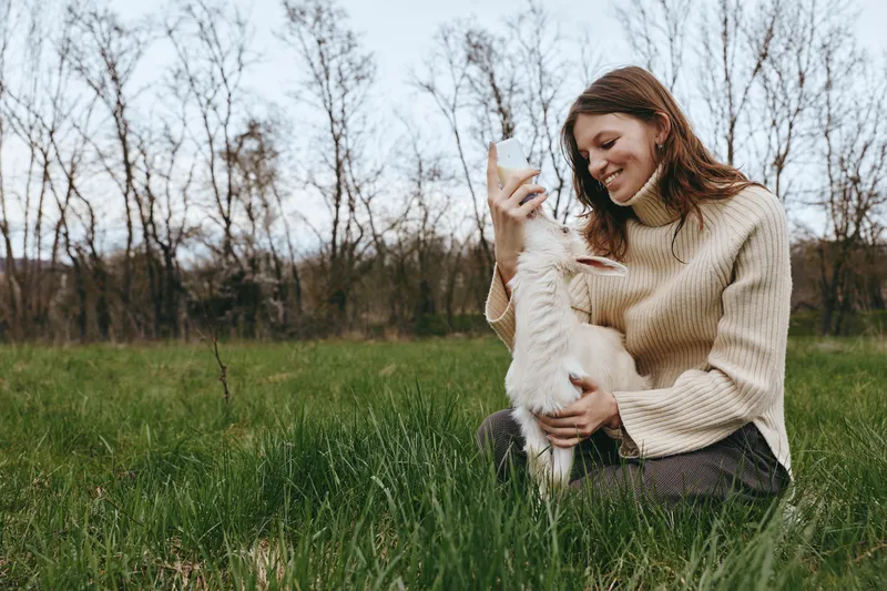 Young woman in a beige sweater happily plays with a white baby goat while sitting on green grass in an autumn outdoor setting with bare trees in the background.