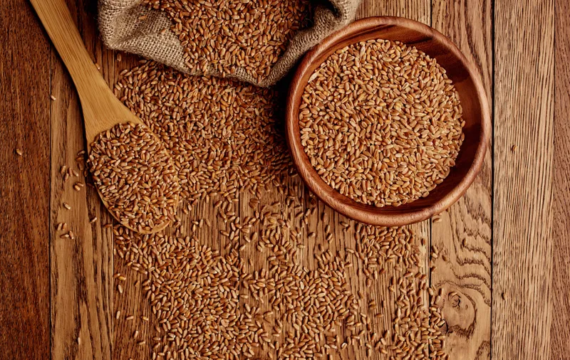 Пшеница на тарелке, фоновая текстура, вид сверху, зерновые продукты