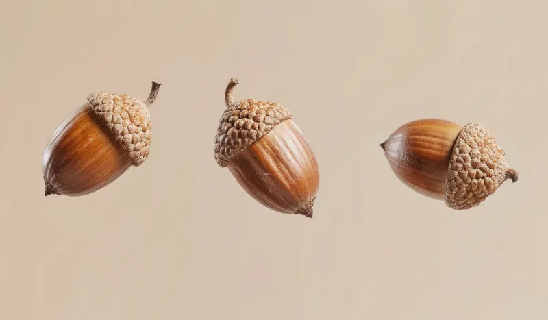 Три детализированных желудя расположены на мягком бежевом фоне, что подчеркивает их уникальную форму и насыщенные коричневые оттенки