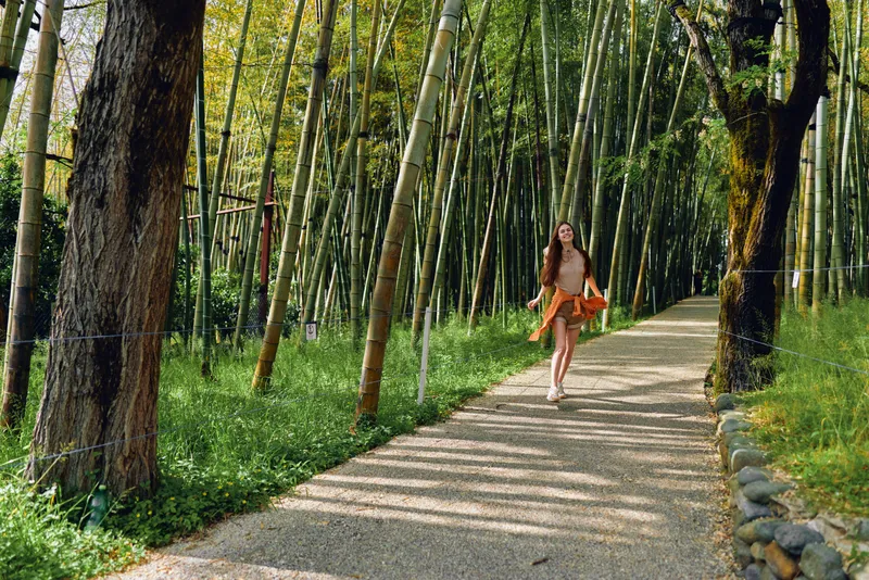 Woman running on a gravel path through a bamboo forest, wearing a flowing dress and enjoying nature and sunlight with tall trees and green foliage along the trail